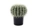 FEROCACTUS ΦΥΤΟ ΤΕΧΝΗΤΟ ΣΕ ΓΛΑΣΤΡΑ 25x25x33cm ΥΦΑΣΜΑ ΠΡΑΣΙΝΟ ΛΕΥΚΟ ΠΛΑΣΤΙΚΟ