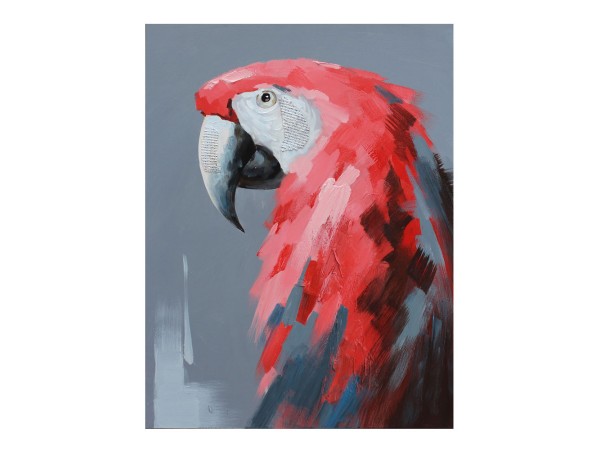 RED PARROT ΠΙΝΑΚΑΣ ΔΙΑΚΟΣΜΗΣΗΣ 76x100x4cm ΚΑΜΒΑΣ ΞΥΛΟ