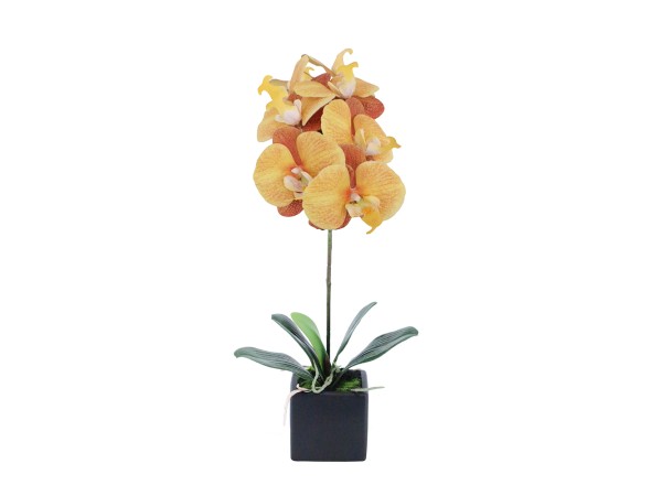 ORCHIDEA ΛΟΥΛΟΥΔΙ ΤΕΧΝΗΤΟ ΣΕ ΓΛΑΣΤΡΑ 63cm PEVA ΚΙΤΡΙΝΟ ΠΟΡΤΟΚΑΛΙ ΚΕΡΑΜΙΚΟ ORCHIDEA ΛΟΥΛΟΥΔΙ ΤΕΧΝΗΤΟ ΣΕ ΓΛΑΣΤΡΑ 63cm PEVA ΚΙΤΡΙΝΟ ΠΟΡΤΟΚΑΛΙ ΚΕΡΑΜΙΚΟ