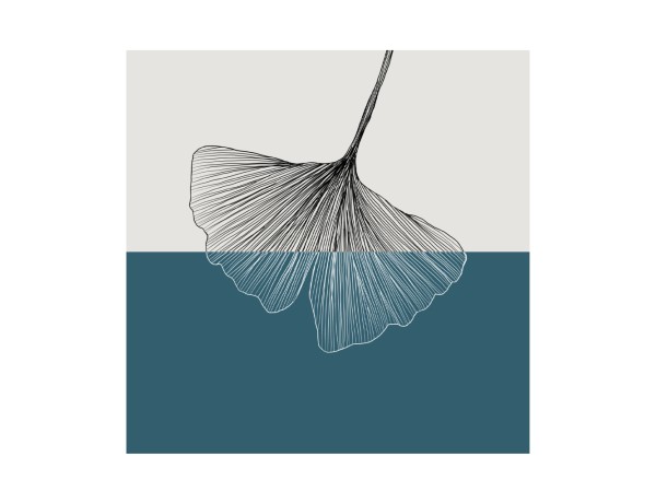 FALL ΠΙΝΑΚΑΣ ΔΙΑΚΟΣΜΗΣΗΣ 40x40x2cm ΚΑΜΒΑΣ ΠΕΤΡΟΛ ΛΕΥΚΟ ΞΥΛΟ ΜΑΥΡΟ