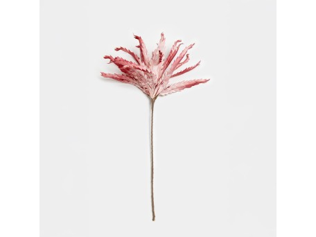 DIAN ΛΟΥΛΟΥΔΙ ΤΕΧΝΗΤΟ 109cm EVA FOAM ΦΟΥΞΙΑ