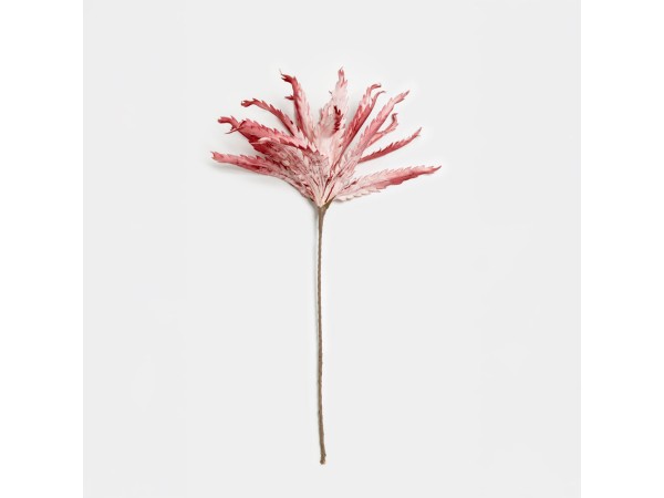 DIAN ΛΟΥΛΟΥΔΙ ΤΕΧΝΗΤΟ 109cm EVA FOAM ΦΟΥΞΙΑ