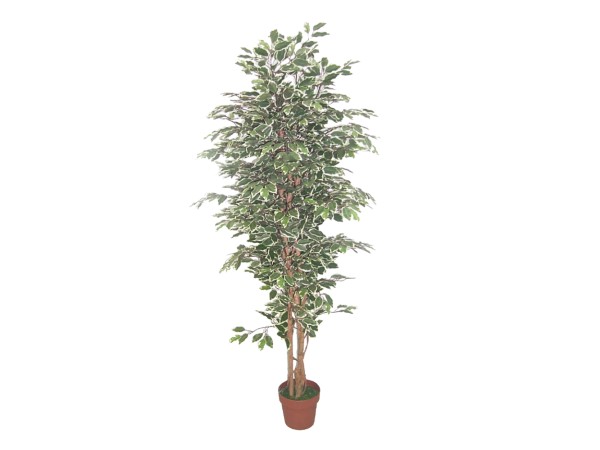 FICUS ΔΕΝΤΡΟ ΤΕΧΝΗΤΟ ΣΕ ΓΛΑΣΤΡΑ 170cm POLYESTER ΠΡΑΣΙΝΟ PE/PP