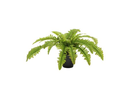 BOSTON FERN ΦΥΤΟ ΤΕΧΝΗΤΟ ΣΕ ΓΛΑΣΤΡΑ 36cm POLYESTER ΠΡΑΣΙΝΟ PE/PP