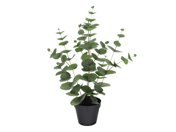 EUCALYPTUS ΦΥΤΟ ΤΕΧΝΗΤΟ ΣΕ ΓΛΑΣΤΡΑ 49cm POLYESTER ΠΡΑΣΙΝΟ PE/PP EUCALYPTUS ΦΥΤΟ ΤΕΧΝΗΤΟ ΣΕ ΓΛΑΣΤΡΑ 49cm POLYESTER ΠΡΑΣΙΝΟ PE/PP