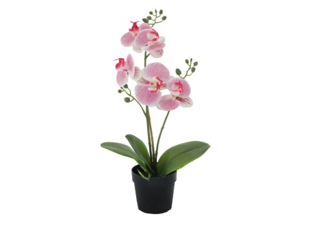 ORCHID 1 ΦΥΤΟ ΤΕΧΝΗΤΟ ΣΕ ΓΛΑΣΤΡΑ 35cm PE/PP ΡΟΖ ΠΡΑΣΙΝΟ PEVA