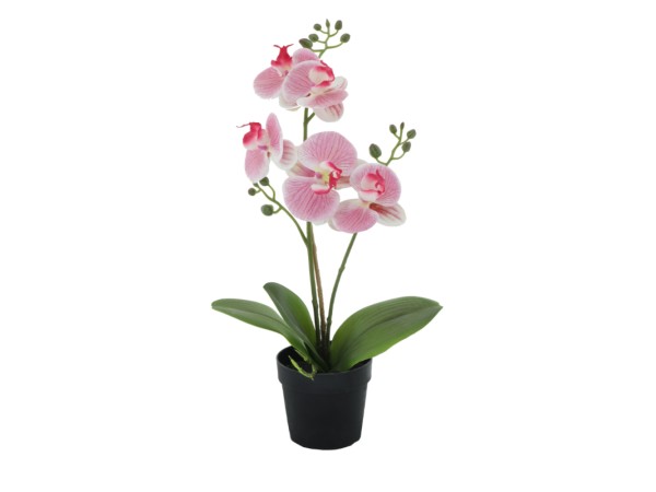 ORCHID 1 ΦΥΤΟ ΤΕΧΝΗΤΟ ΣΕ ΓΛΑΣΤΡΑ 35cm PE/PP ΡΟΖ ΠΡΑΣΙΝΟ PEVA
