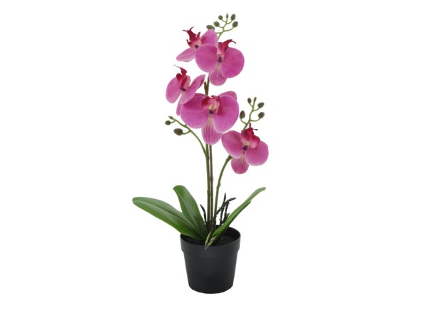 ORCHID 2 ΦΥΤΟ ΤΕΧΝΗΤΟ ΣΕ ΓΛΑΣΤΡΑ 35cm PE/PP ΜΩΒ ΠΡΑΣΙΝΟ PEVA