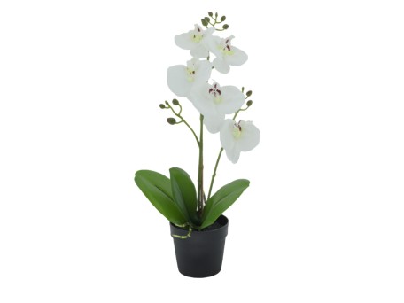 ORCHID 3 ΦΥΤΟ ΤΕΧΝΗΤΟ ΣΕ ΓΛΑΣΤΡΑ 35cm PE/PP ΛΕΥΚΟ ΠΡΑΣΙΝΟ PEVA