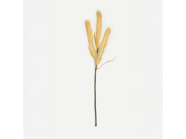 VEGUR 11 ΚΛΑΔΙ ΤΕΧΝΗΤΟ 100cm EVA FOAM ΚΙΤΡΙΝΟ VEGUR 11 ΚΛΑΔΙ ΤΕΧΝΗΤΟ 100cm EVA FOAM ΚΙΤΡΙΝΟ