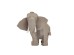 ZOO ΔΙΑΚΟΣΜΗΤΙΚΟ ΕΛΕΦΑΝΤΑΣ 17x11x17cm POLYRESIN ΜΠΕΖ ZOO ΔΙΑΚΟΣΜΗΤΙΚΟ ΕΛΕΦΑΝΤΑΣ 17x11x17cm POLYRESIN ΜΠΕΖ
