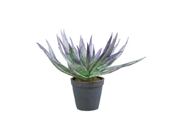 ALOE MAUVE ΦΥΤΟ ΤΕΧΝΗΤΟ ΣΕ ΓΛΑΣΤΡΑ 32cm EVA FOAM ΜΩΒ ΠΡΑΣΙΝΟ ΚΕΡΑΜΙΚΟ ΜΑΥΡΟ ALOE MAUVE ΦΥΤΟ ΤΕΧΝΗΤΟ ΣΕ ΓΛΑΣΤΡΑ 32cm EVA FOAM ΜΩΒ ΠΡΑΣΙΝΟ ΚΕΡΑΜΙΚΟ ΜΑΥΡΟ