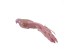 PIXIE BIRD ΧΡΙΣΤΟΥΓΕΝΝΙΑΤΙΚΟ ΔΙΑΚΟΣΜΗΤΙΚΟ ΠΟΥΛΙ 32cm POLYFOAM ΡΟΖ ΥΦΑΣΜΑ PIXIE BIRD ΧΡΙΣΤΟΥΓΕΝΝΙΑΤΙΚΟ ΔΙΑΚΟΣΜΗΤΙΚΟ ΠΟΥΛΙ 32cm POLYFOAM ΡΟΖ ΥΦΑΣΜΑ