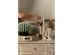 NILE ΔΙΣΚΟΣ SET 3ΤΜΧ 43x43x10cm KANSGRASS ΦΥΣΙΚΟ ΛΕΥΚΟ PVC NILE ΔΙΣΚΟΣ SET 3ΤΜΧ 43x43x10cm KANSGRASS ΦΥΣΙΚΟ ΛΕΥΚΟ PVC