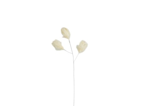 LAUREL PEARL ΚΛΑΔΙ ΤΕΧΝΗΤΟ ΜΕ ΦΤΕΡΑ 54cm ΦΤΕΡΟ ΚΡΕΜ