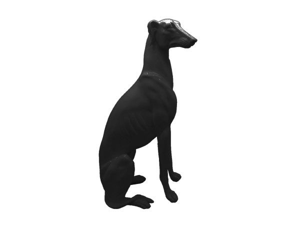 ΙΒΙΖΑΝ ΔΙΑΚΟΣΜΗΤΙΚΟ ΣΚΥΛΟΣ 16x2x22cm POLYRESIN ΜΑΥΡΟ GLOSSY