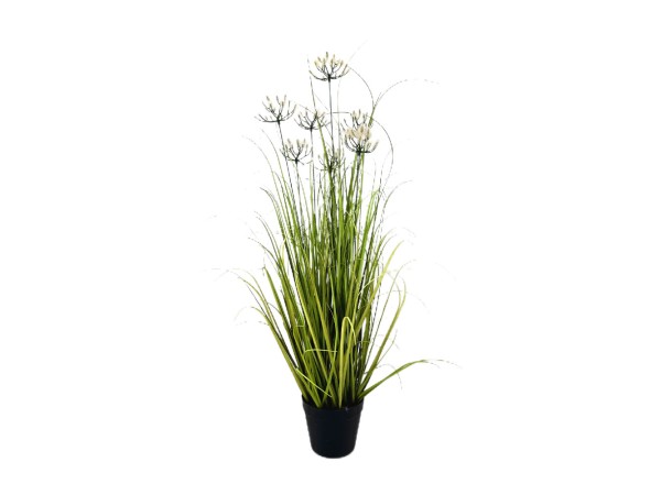 GRASS ΦΥΤΟ ΤΕΧΝΗΤΟ ΣΕ ΓΛΑΣΤΡΑ 94cm PVC ΠΡΑΣΙΝΟ GRASS ΦΥΤΟ ΤΕΧΝΗΤΟ ΣΕ ΓΛΑΣΤΡΑ 94cm PVC ΠΡΑΣΙΝΟ