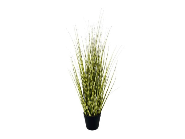 GRASS ΦΥΤΟ ΤΕΧΝΗΤΟ ΣΕ ΓΛΑΣΤΡΑ 96cm PVC ΠΡΑΣΙΝΟ GRASS ΦΥΤΟ ΤΕΧΝΗΤΟ ΣΕ ΓΛΑΣΤΡΑ 96cm PVC ΠΡΑΣΙΝΟ