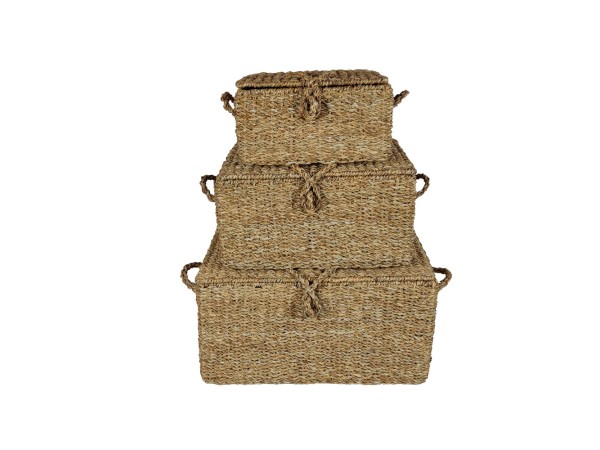 ALMAR ΚΟΥΤΙ ΑΠΟΘΗΚΕΥΣΗΣ SET 3ΤΜΧ 50x34x25cm SEAGRASS ΦΥΣΙΚΟ ΣΙΔΕΡΟ ALMAR ΚΟΥΤΙ ΑΠΟΘΗΚΕΥΣΗΣ SET 3ΤΜΧ 50x34x25cm SEAGRASS ΦΥΣΙΚΟ ΣΙΔΕΡΟ