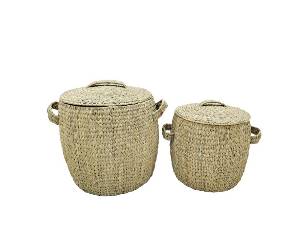 MALIA ΚΑΛΑΘΙ ΜΕ ΚΑΠΑΚΙ SET 2ΤΜΧ 45x45x50cm ΥΑΚΙΝΘΟΣ ΦΥΣΙΚΟ ΣΙΔΕΡΟ