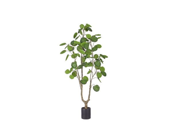 MONEY POCKET ΔΕΝΤΡΟ ΤΕΧΝΗΤΟ ΣΕ ΓΛΑΣΤΡΑ 150cm PE ΠΡΑΣΙΝΟ