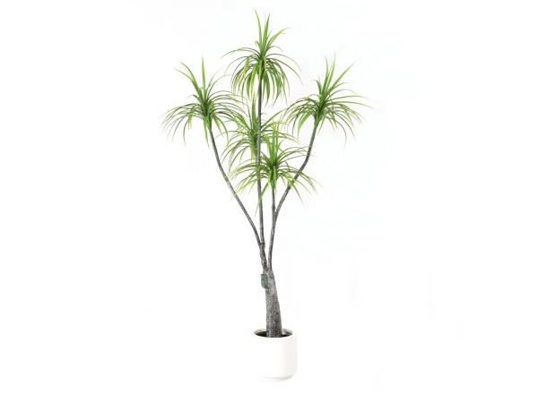 HEMLOCK ΔΕΝΤΡΟ ΤΕΧΝΗΤΟ ΣΕ ΓΛΑΣΤΡΑ 200cm PE ΠΡΑΣΙΝΟ