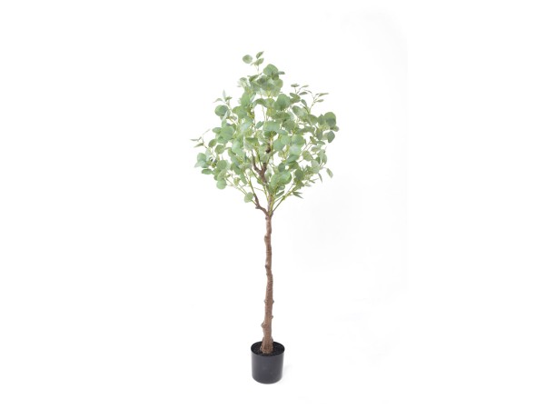 SILVER DOLLAR EUCALYPTUS ΔΕΝΤΡΟ ΤΕΧΝΗΤΟ ΣΕ ΓΛΑΣΤΡΑ 150cm PE ΠΡΑΣΙΝΟ ΜΕΤΑΞΩΤΟ ΥΦΑΣΜΑ