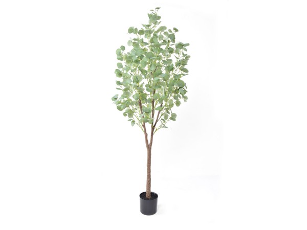 SILVER DOLLAR EUCALYPTUS ΔΕΝΤΡΟ ΤΕΧΝΗΤΟ ΣΕ ΓΛΑΣΤΡΑ 180cm PE ΠΡΑΣΙΝΟ ΜΕΤΑΞΩΤΟ ΥΦΑΣΜΑ