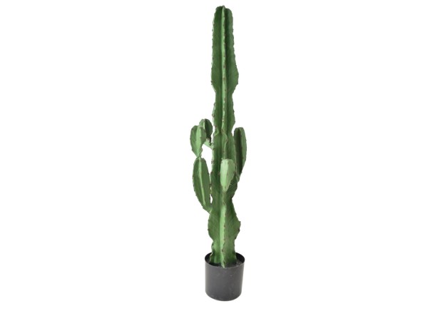 CANDELABRA CACTUS ΦΥΤΟ ΤΕΧΝΗΤΟ ΣΕ ΓΛΑΣΤΡΑ 120cm PU ΠΡΑΣΙΝΟ