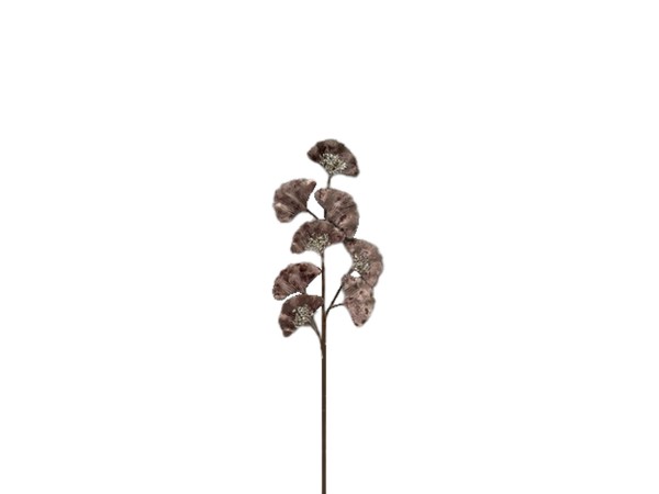 OH DEER BRANCH ΧΡΙΣΤΟΥΓΕΝΝΙΑΤΙΚΟ ΚΛΑΔΙ 55cm ΒΕΛΟΥΔΟ MOCHA OH DEER BRANCH ΧΡΙΣΤΟΥΓΕΝΝΙΑΤΙΚΟ ΚΛΑΔΙ 55cm ΒΕΛΟΥΔΟ MOCHA