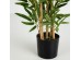 BAMBOO ΦΥΤΟ ΤΕΧΝΗΤΟ ΣΕ ΓΛΑΣΤΡΑ 70cm POLYESTER ΠΡΑΣΙΝΟ PVC BAMBOO ΦΥΤΟ ΤΕΧΝΗΤΟ ΣΕ ΓΛΑΣΤΡΑ 70cm POLYESTER ΠΡΑΣΙΝΟ PVC