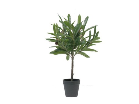 OLIA ΦΥΤΟ ΤΕΧΝΗΤΟ ΣΕ ΓΛΑΣΤΡΑ 45cm PVC ΠΡΑΣΙΝΟ PU