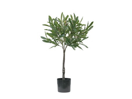 OLIA ΦΥΤΟ ΤΕΧΝΗΤΟ ΣΕ ΓΛΑΣΤΡΑ 75cm PVC ΠΡΑΣΙΝΟ PU