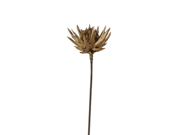 EDULIS ΧΡΙΣΤΟΥΓΕΝΝΙΑΤΙΚΟ ΛΟΥΛΟΥΔΙ 78cm FOAM ΧΡΥΣΟ EDULIS ΧΡΙΣΤΟΥΓΕΝΝΙΑΤΙΚΟ ΛΟΥΛΟΥΔΙ 78cm FOAM ΧΡΥΣΟ