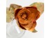 MAGNOLIA ΛΟΥΛΟΥΔΙ ΤΕΧΝΗΤΟ 58cm ΥΦΑΣΜΑ TERRACOTTA ΚΙΤΡΙΝΟ ΠΡΑΣΙΝΟ PVC