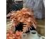 PTERIS ΚΛΑΔΙ ΤΕΧΝΗΤΟ 68cm PVC TERRACOTTA