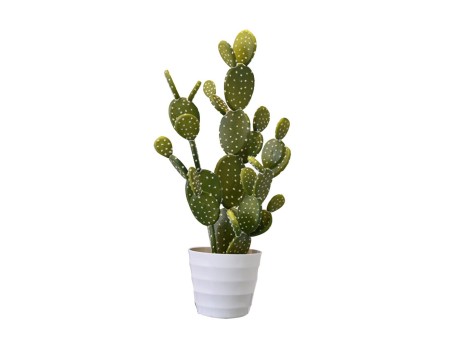 REBUTIA ΦΥΤΟ ΤΕΧΝΗΤΟ ΣΕ ΓΛΑΣΤΡΑ 67cm PVC ΠΡΑΣΙΝΟ ΛΕΥΚΟ ΤΣΙΜΕΝΤΟ