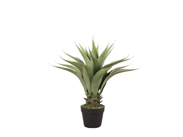 AGAVE ΦΥΤΟ ΤΕΧΝΗΤΟ ΣΕ ΓΛΑΣΤΡΑ 55cm PVC ΠΡΑΣΙΝΟ ΜΑΥΡΟ ΤΣΙΜΕΝΤΟ AGAVE ΦΥΤΟ ΤΕΧΝΗΤΟ ΣΕ ΓΛΑΣΤΡΑ 55cm PVC ΠΡΑΣΙΝΟ ΜΑΥΡΟ ΤΣΙΜΕΝΤΟ