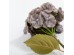 HYDRANGEA ΛΟΥΛΟΥΔΙ ΤΕΧΝΗΤΟ 52cm POLYESTER ΠΡΑΣΙΝΟ ΜΩΒ ΠΡΑΣΙΝΟ