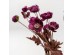 POPPY ΛΟΥΛΟΥΔΙ ΤΕΧΝΗΤΟ 60cm POLYESTER ΜΩΒ ΠΡΑΣΙΝΟ