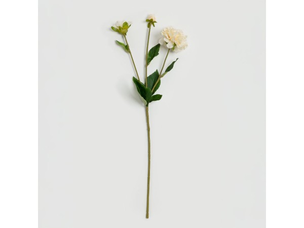 ZINNIA ΛΟΥΛΟΥΔΙ ΤΕΧΝΗΤΟ 62cm POLYESTER ΜΠΕΖ ΠΡΑΣΙΝΟ