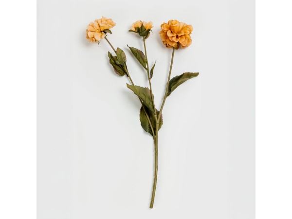 ZINNIA ΛΟΥΛΟΥΔΙ ΤΕΧΝΗΤΟ 52cm POLYESTER ΠΟΡΤΟΚΑΛΙ ΠΡΑΣΙΝΟ ZINNIA ΛΟΥΛΟΥΔΙ ΤΕΧΝΗΤΟ 52cm POLYESTER ΠΟΡΤΟΚΑΛΙ ΠΡΑΣΙΝΟ