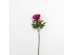KATE PEONY ΛΟΥΛΟΥΔΙ ΤΕΧΝΗΤΟ 67cm POLYESTER ΦΟΥΞΙΑ ΠΡΑΣΙΝΟ