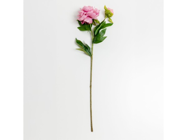 PEONY ΛΟΥΛΟΥΔΙ ΤΕΧΝΗΤΟ 67cm POLYESTER ΡΟΖ ΠΡΑΣΙΝΟ