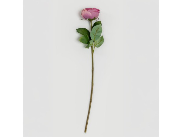 CABBAGE ROSE ΛΟΥΛΟΥΔΙ ΤΕΧΝΗΤΟ 66cm POLYESTER ΡΟΖ ΦΟΥΞΙΑ ΠΡΑΣΙΝΟ CABBAGE ROSE ΛΟΥΛΟΥΔΙ ΤΕΧΝΗΤΟ 66cm POLYESTER ΡΟΖ ΦΟΥΞΙΑ ΠΡΑΣΙΝΟ