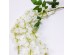 WISTARIA ΚΛΑΔΙ ΤΕΧΝΗΤΟ 76cm POLYESTER ΛΕΥΚΟ ΠΡΑΣΙΝΟ WISTARIA ΚΛΑΔΙ ΤΕΧΝΗΤΟ 76cm POLYESTER ΛΕΥΚΟ ΠΡΑΣΙΝΟ
