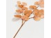 EUCALYPTUS ΚΛΑΔΙ ΤΕΧΝΗΤΟ 84cm POLYESTER ΠΟΡΤΟΚΑΛΙ EUCALYPTUS ΚΛΑΔΙ ΤΕΧΝΗΤΟ 84cm POLYESTER ΠΟΡΤΟΚΑΛΙ