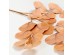 EUCALYPTUS ΚΛΑΔΙ ΤΕΧΝΗΤΟ 84cm POLYESTER ΠΟΡΤΟΚΑΛΙ EUCALYPTUS ΚΛΑΔΙ ΤΕΧΝΗΤΟ 84cm POLYESTER ΠΟΡΤΟΚΑΛΙ