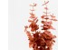 EUCALYPTUS ΚΛΑΔΙ ΤΕΧΝΗΤΟ 88cm POLYESTER TERRACOTTA EUCALYPTUS ΚΛΑΔΙ ΤΕΧΝΗΤΟ 88cm POLYESTER TERRACOTTA