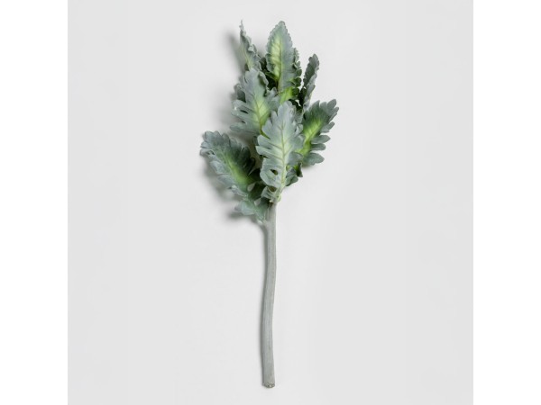 SENECIO CINERARIA ΚΛΑΔΙ ΤΕΧΝΗΤΟ 38cm POLYESTER ΠΡΑΣΙΝΟ